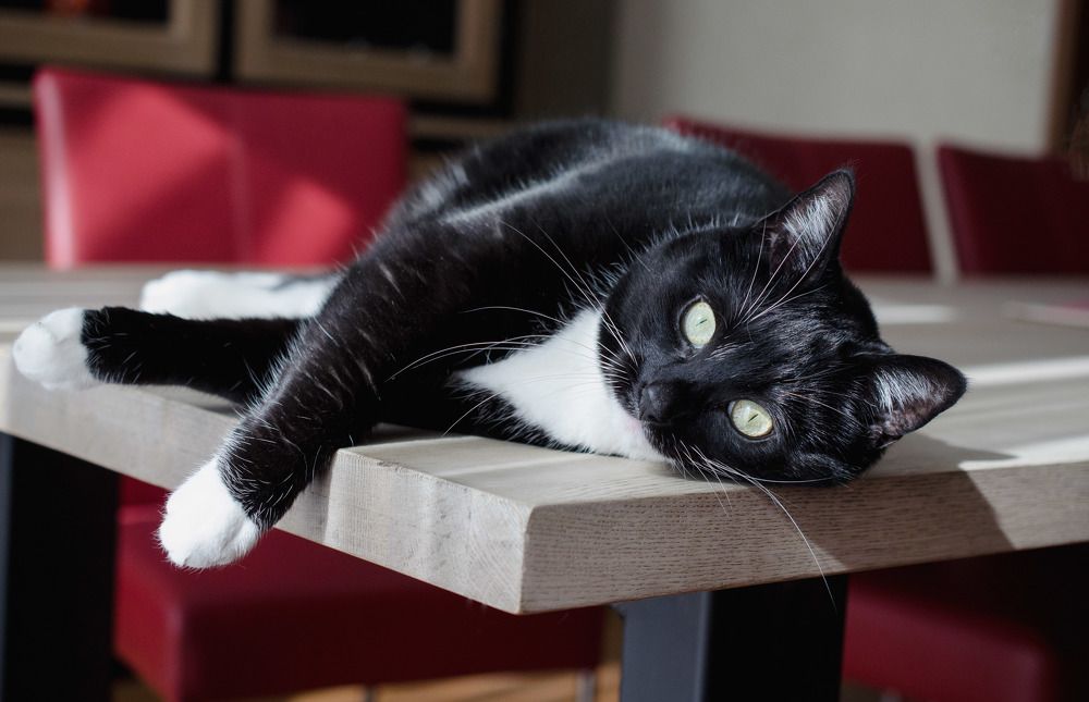 Photograph by Laima Kuriene