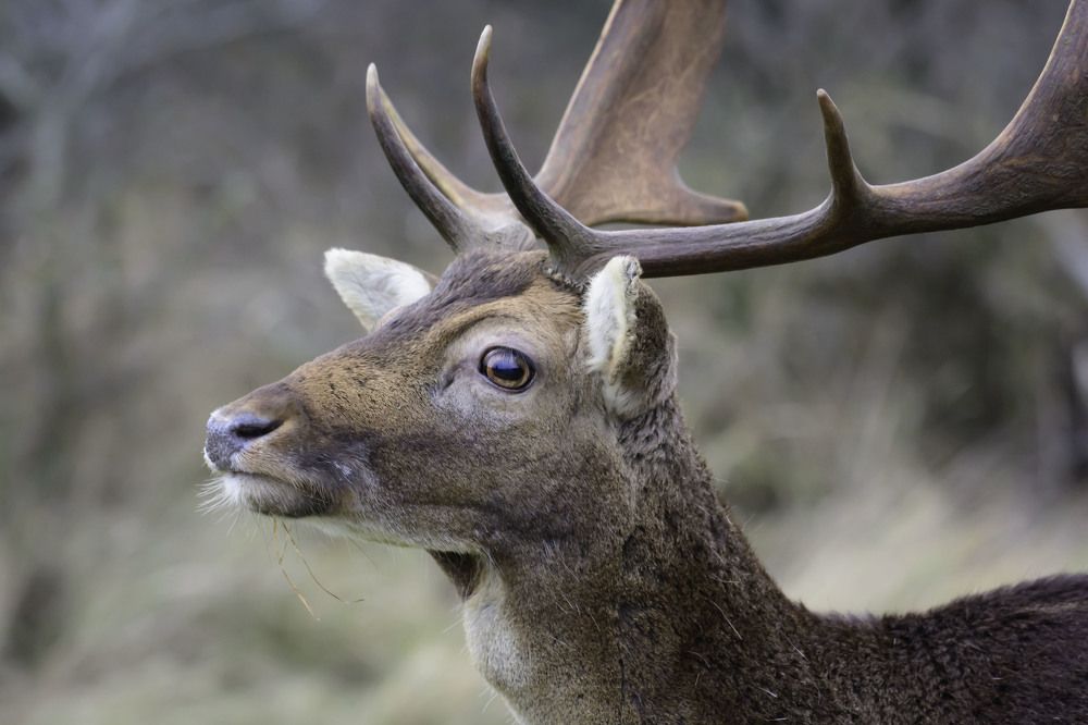 Photograph by Laima Kuriene