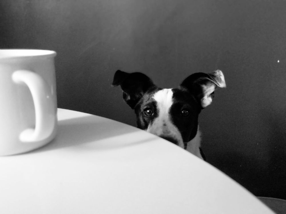 Photograph by Елена Хрыкина-Пинчук