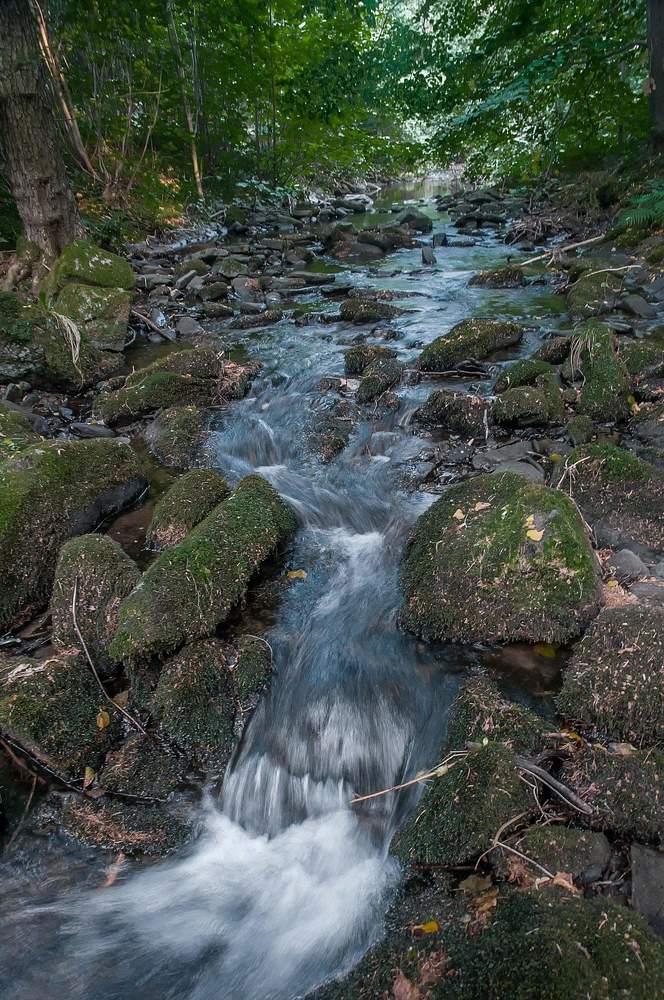 Photograph by SAID SERBOUTI