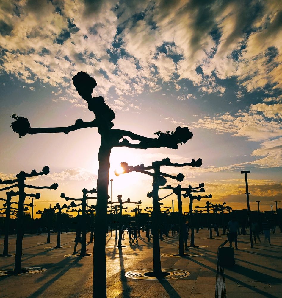 Photograph by Юлия Ахонина