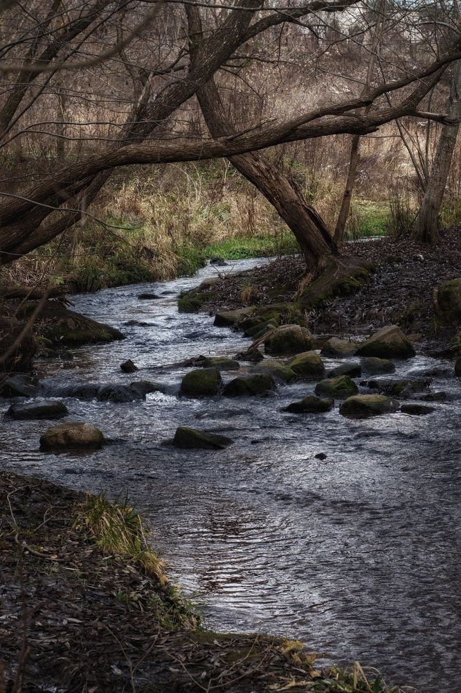 Photograph by Юлия Марфонова