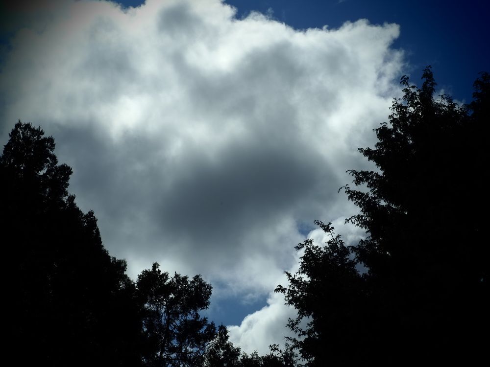 Photograph by Сергей Борисов