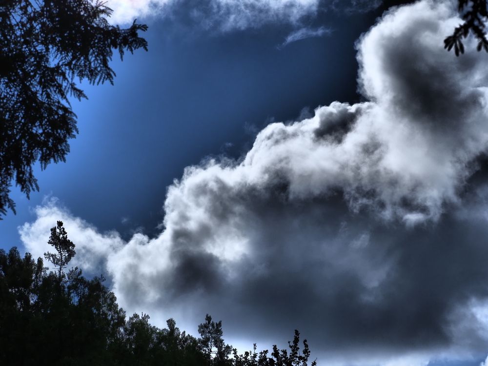 Photograph by Сергей Борисов