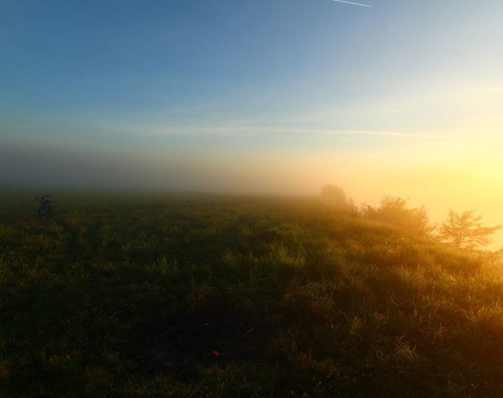 Утренний туман