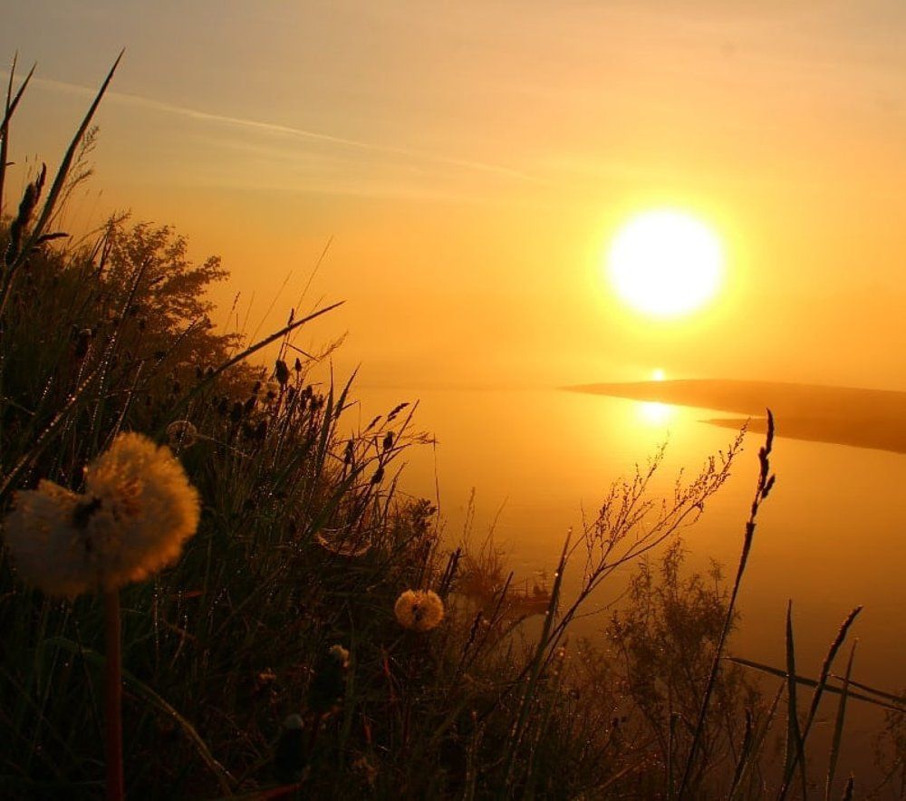 Photograph by Наталия Никитинская