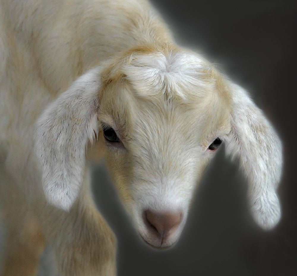 Фотография автора Валентин Черновол