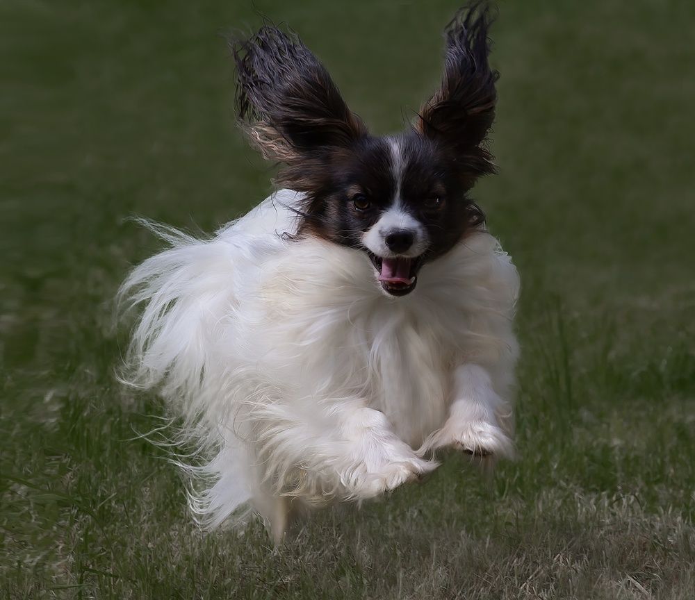 Фотография автора Валентин Черновол