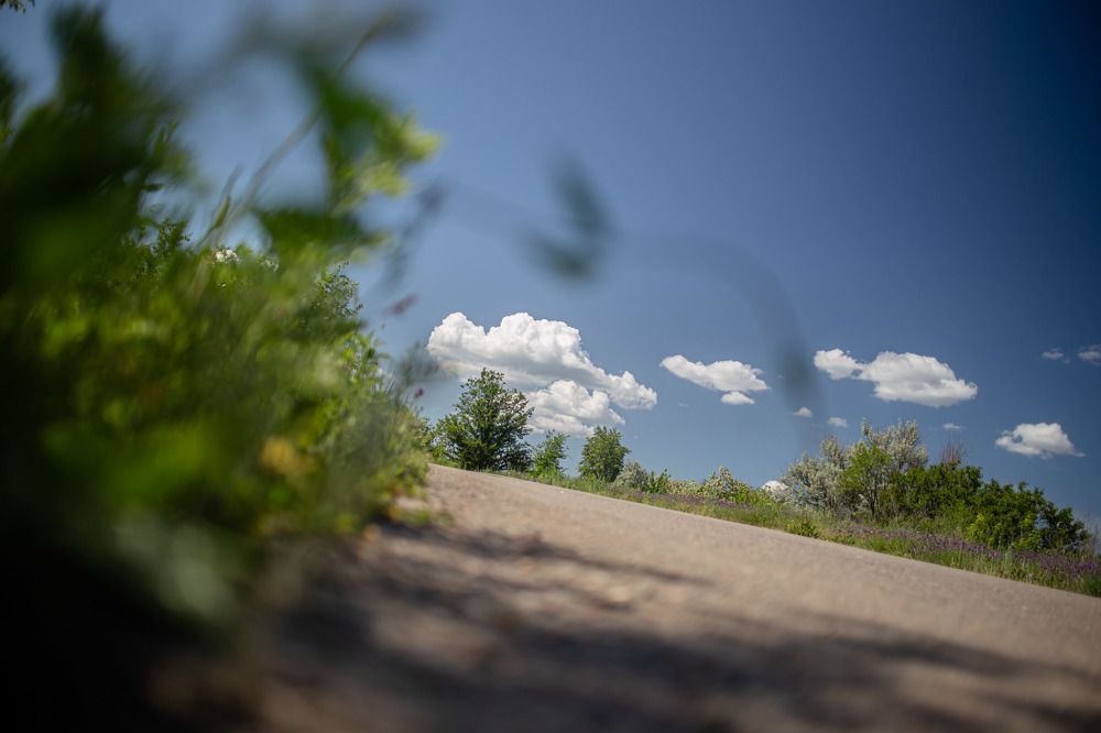 Photograph by Анатолий Климов