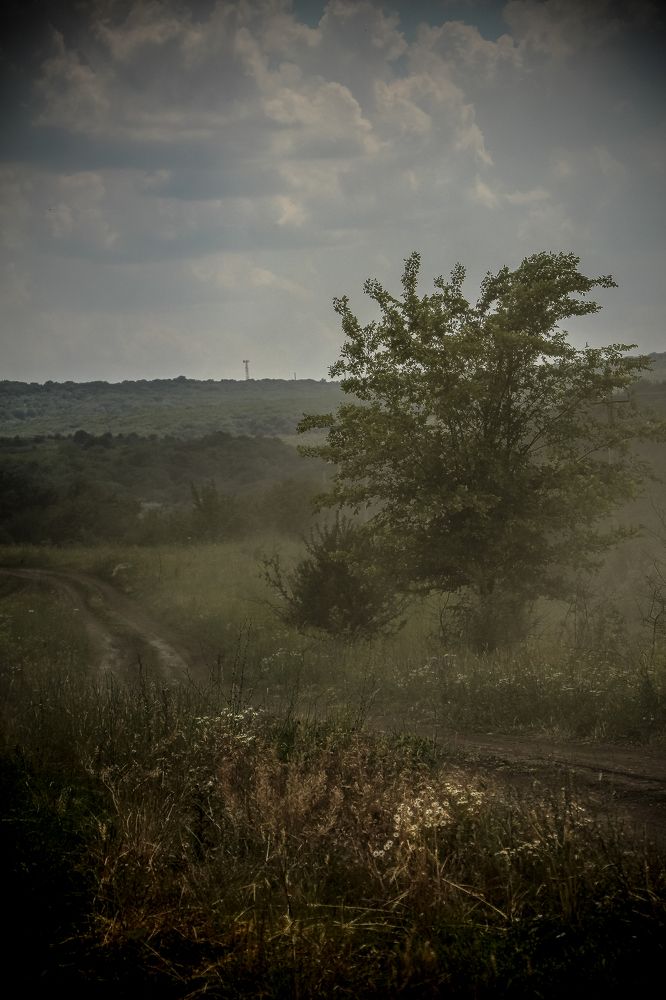 Photograph by Наталья Лукьянчук