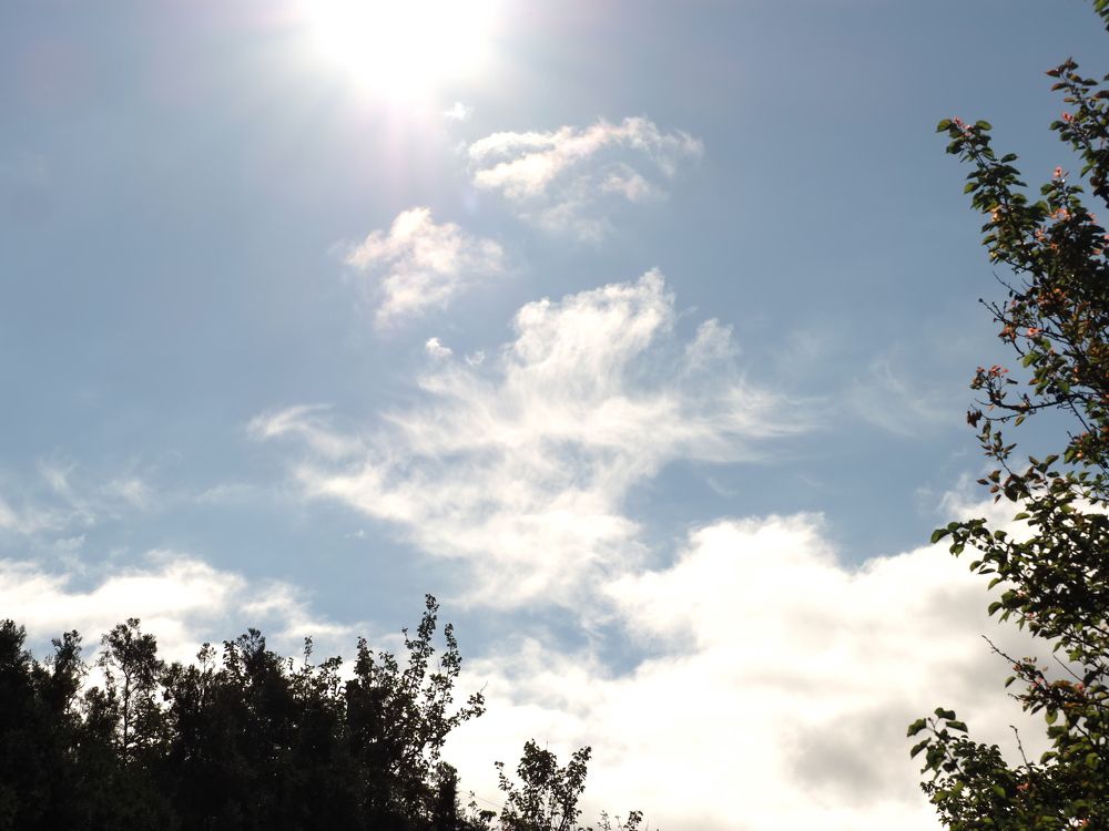 Photograph by Сергей Борисов