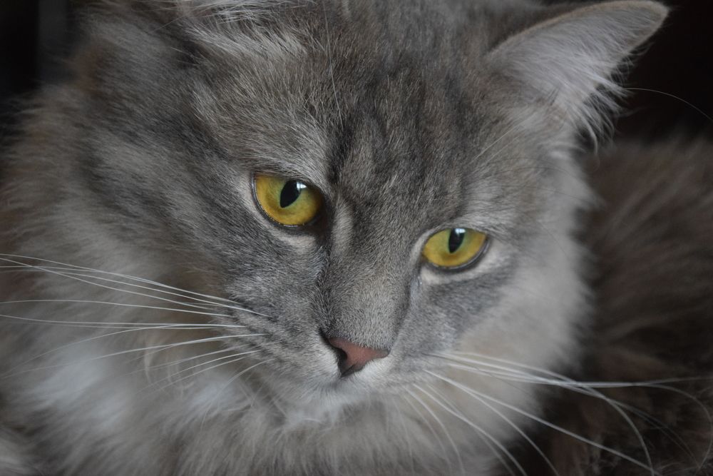 Photograph by Наталья Ченчикова