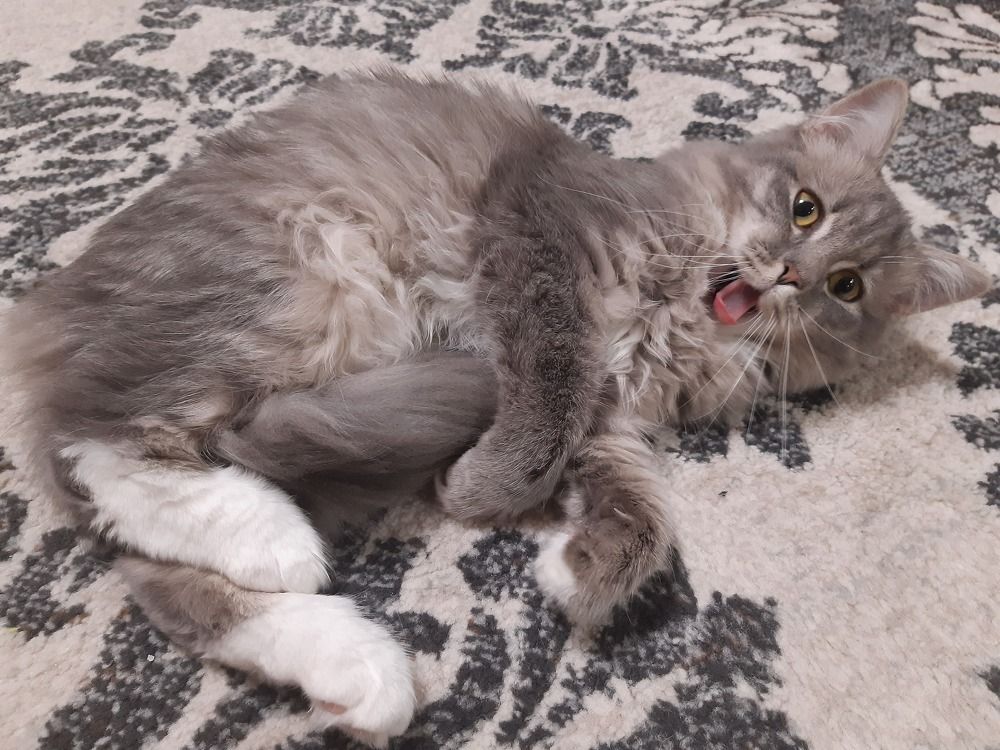 Photograph by Наталья Ченчикова