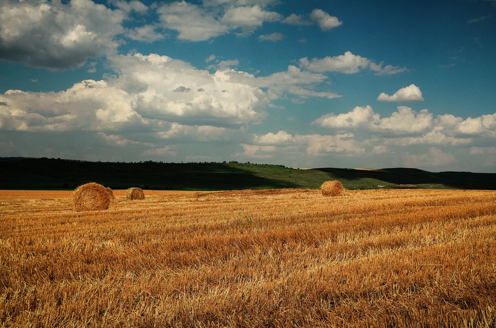 Photograph by Наталья Лукьянчук