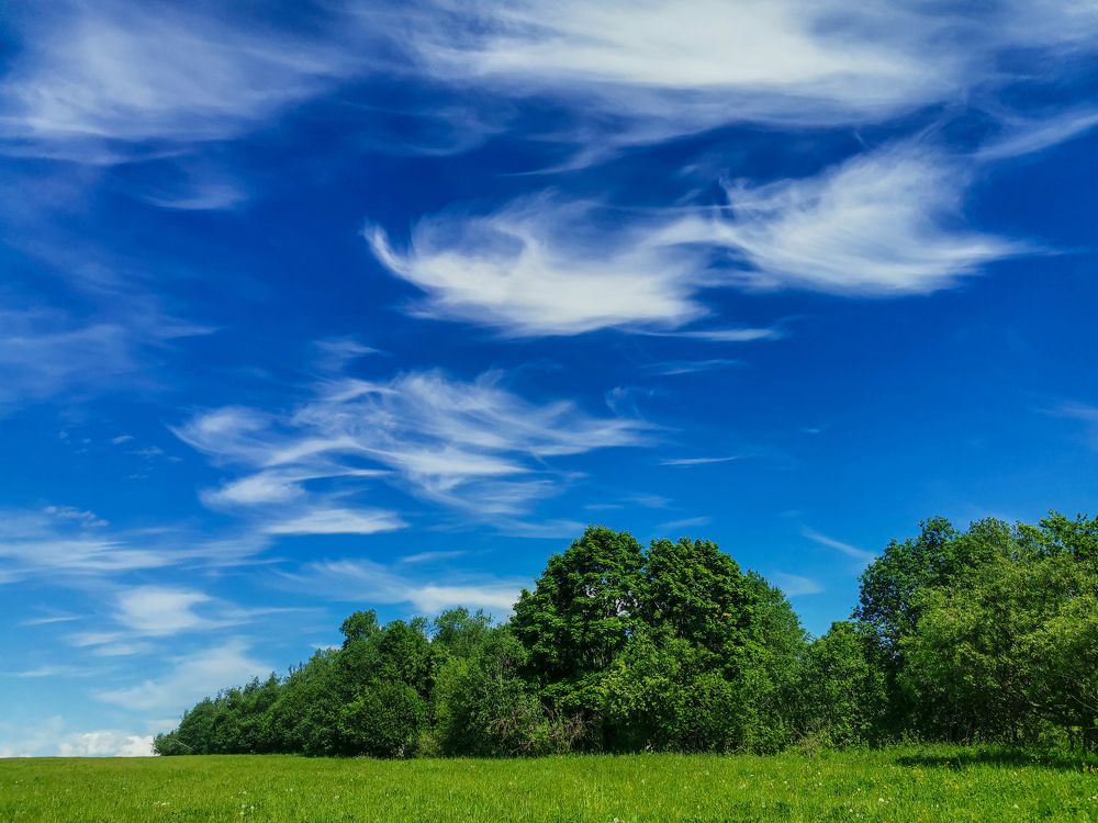 Photograph by Сергей Долгий