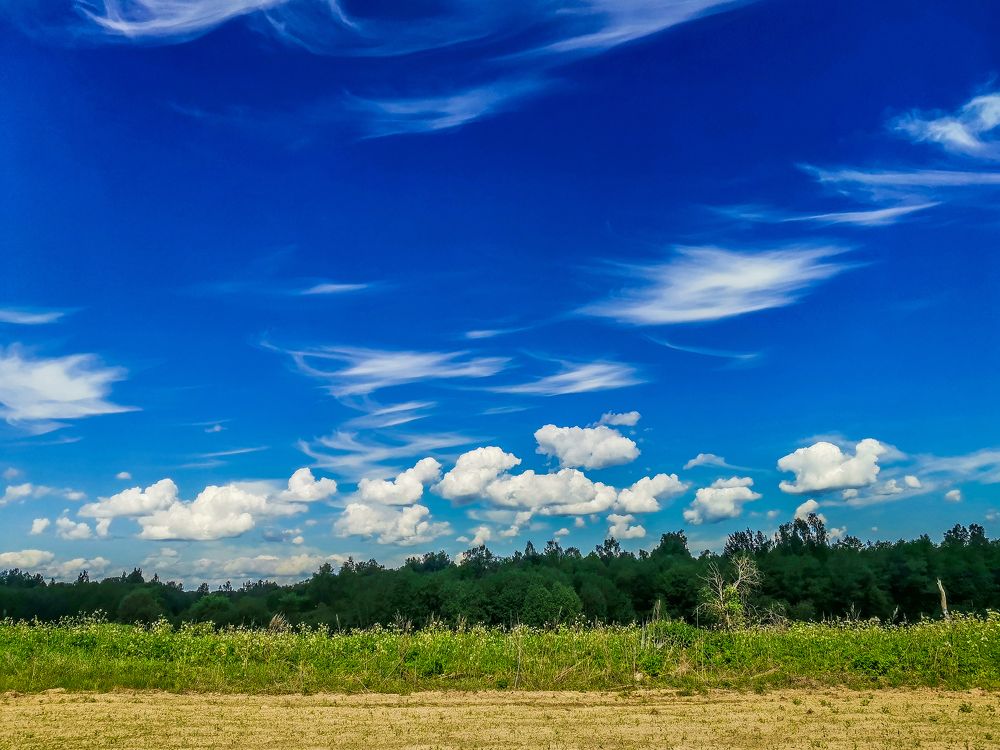 Photograph by Сергей Долгий