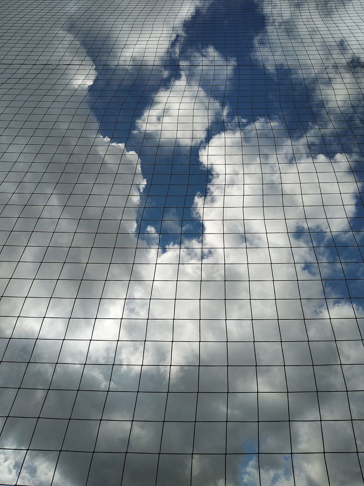 Небо в клеточку (2)