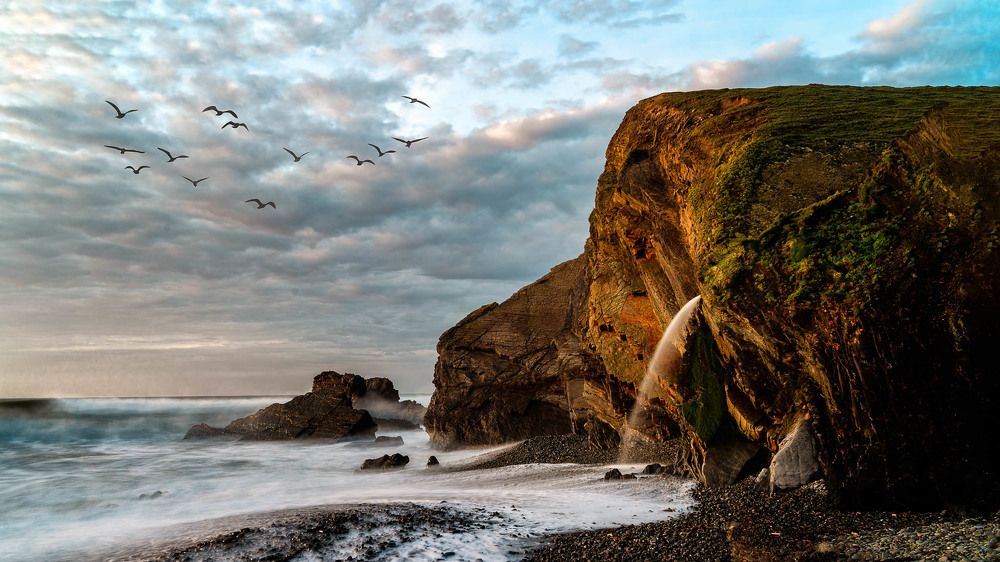 Фотография автора Ross McGree