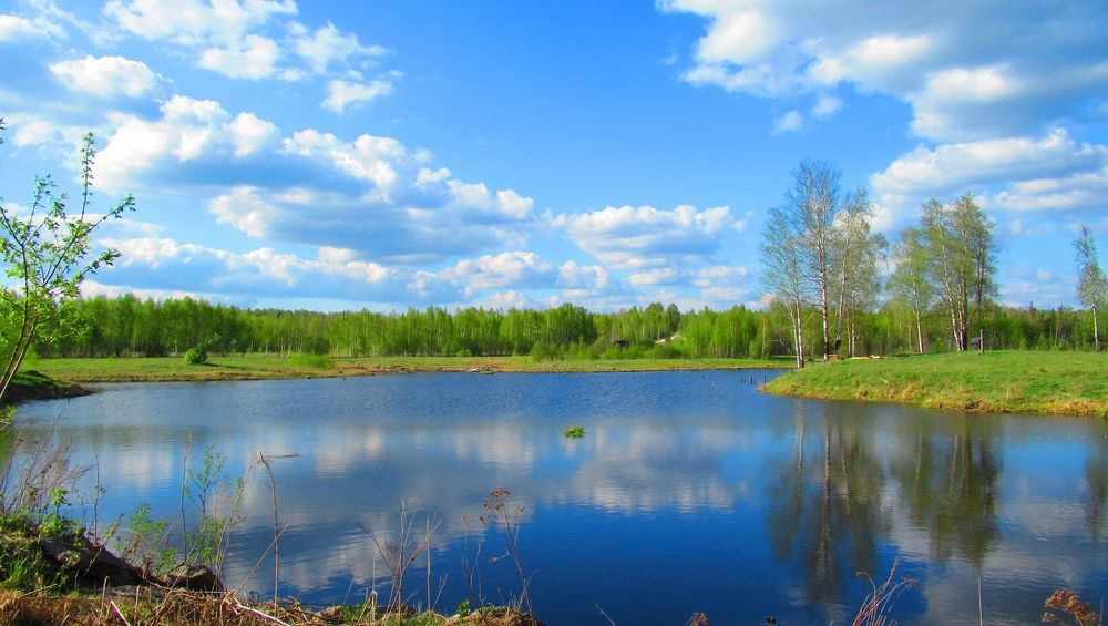 Photograph by Ольга Рогозина