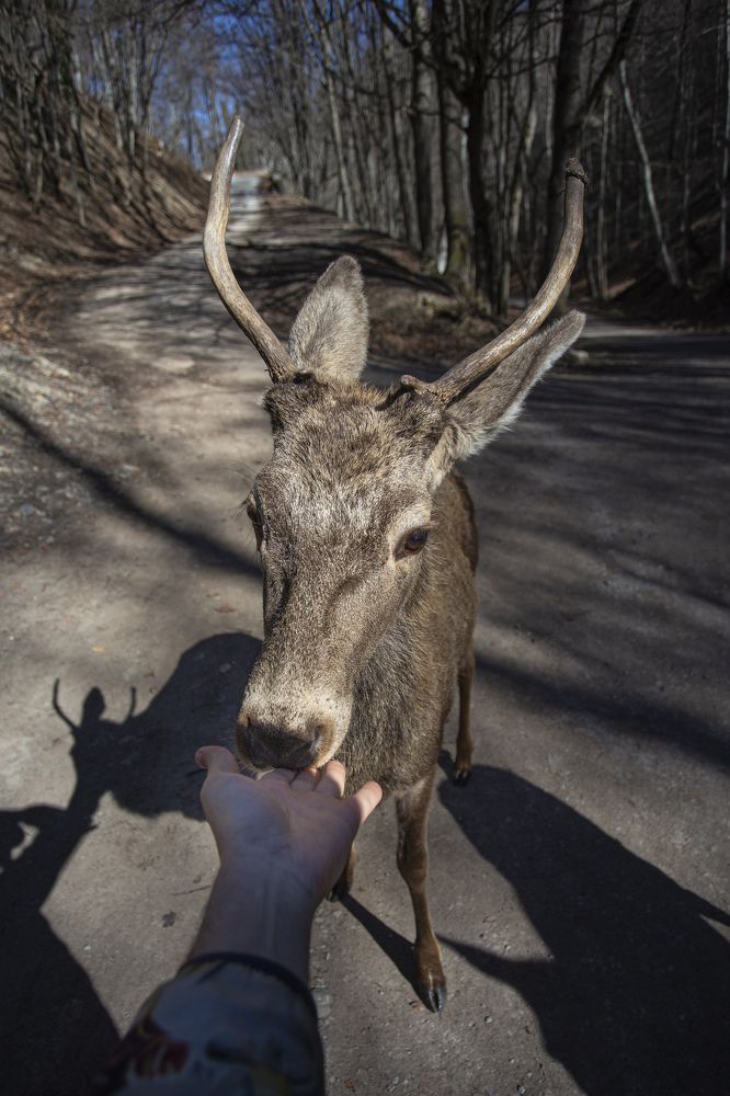 Photograph by Vladimir Soroka