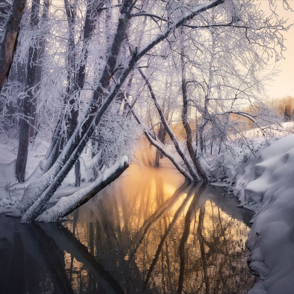 Photograph by Дмитрий Медянцев