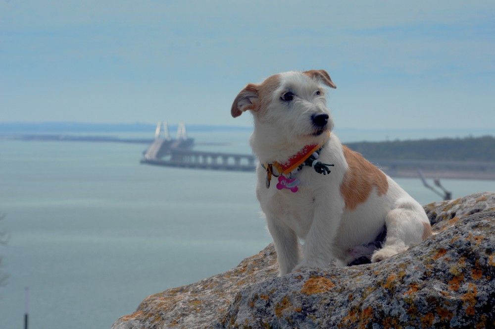 Photograph by Марина Адамковская