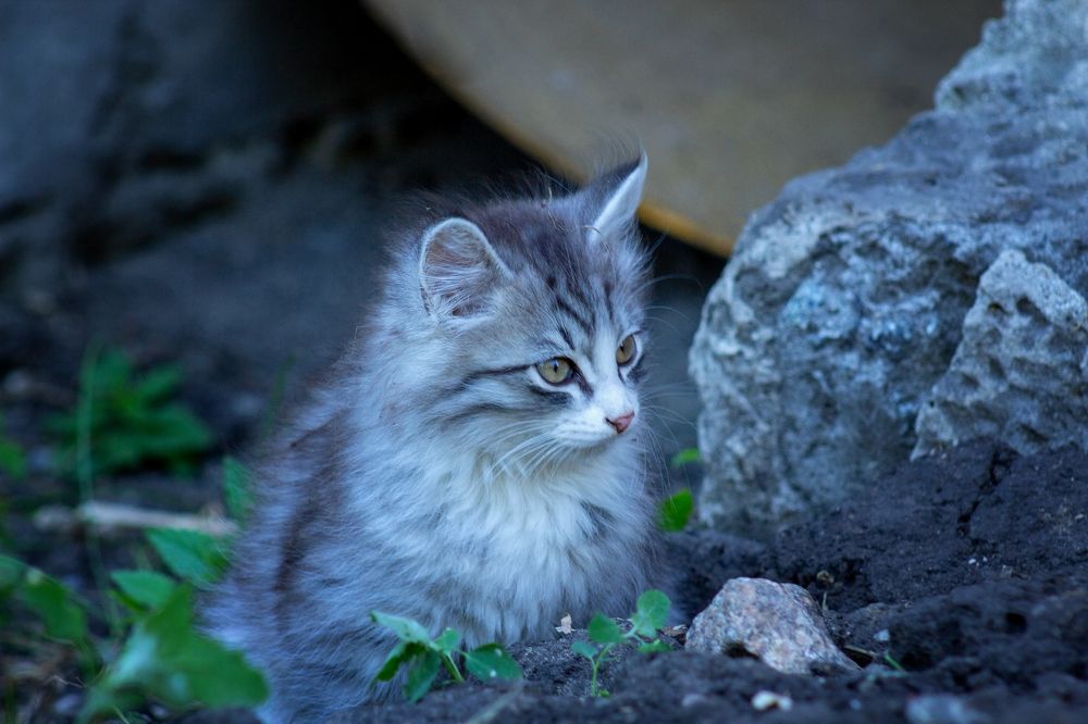 Photograph by Александр Канцур