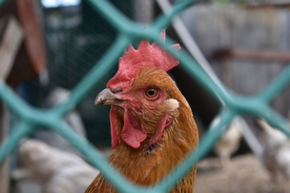 Photograph by Олег Бережных