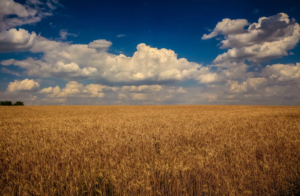 Photograph by Наталья Лукьянчук