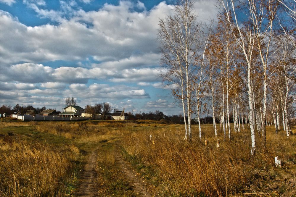 Photograph by Александр Стрельченко