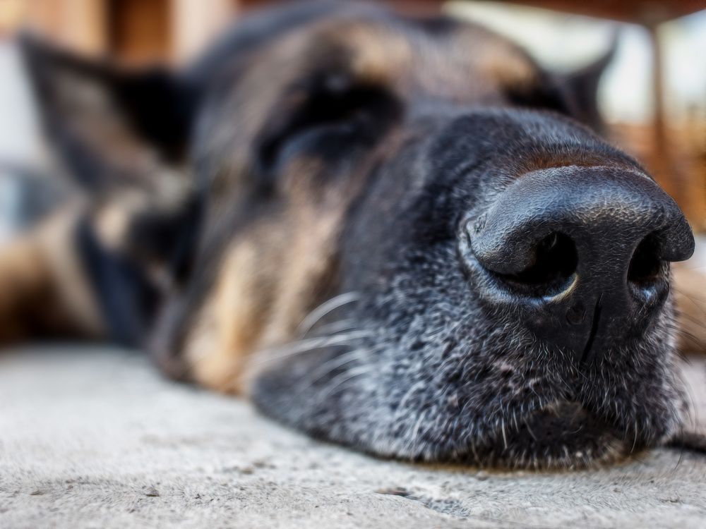 Photograph by Александр Стрельченко