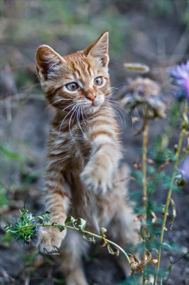 Photograph by Александр Стрельченко