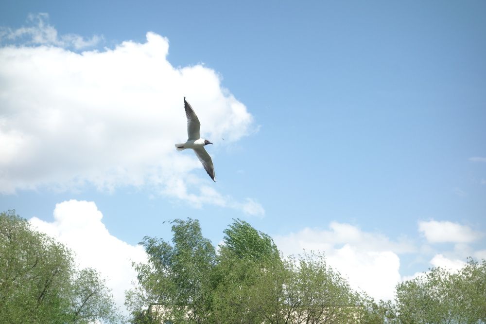 Photograph by Дарья Гришина