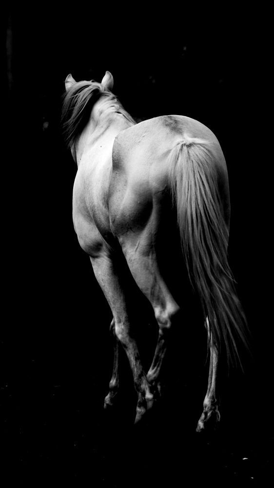 Photograph by Andrea Alcalá