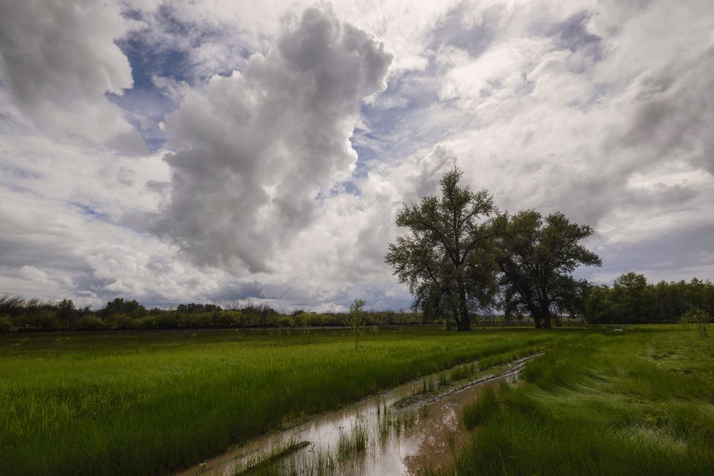 Фотография автора Игорь Баранов