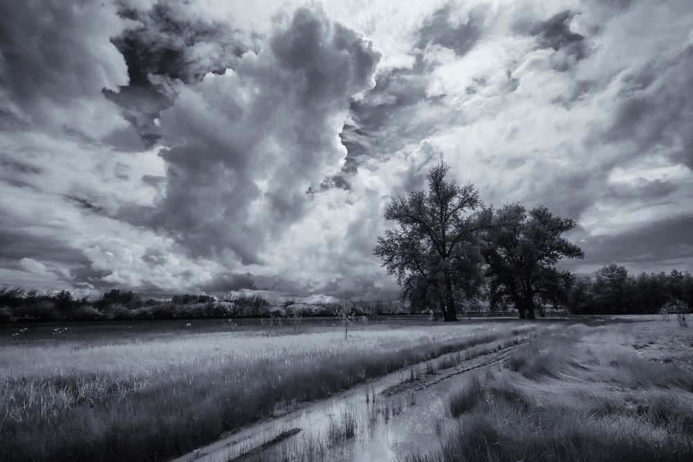 Фотография автора Игорь Баранов