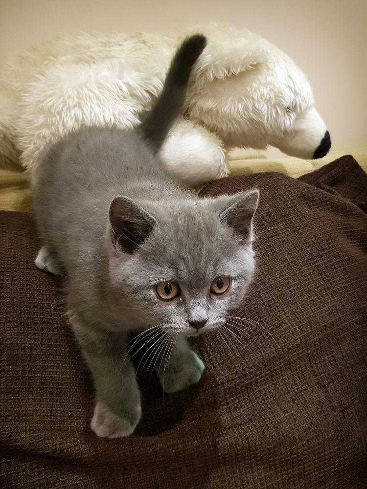 Photograph by Guntars