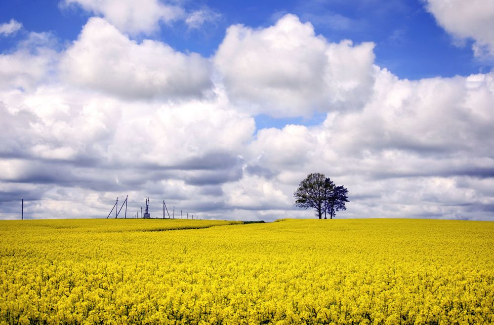 Photograph by Laima Kuriene