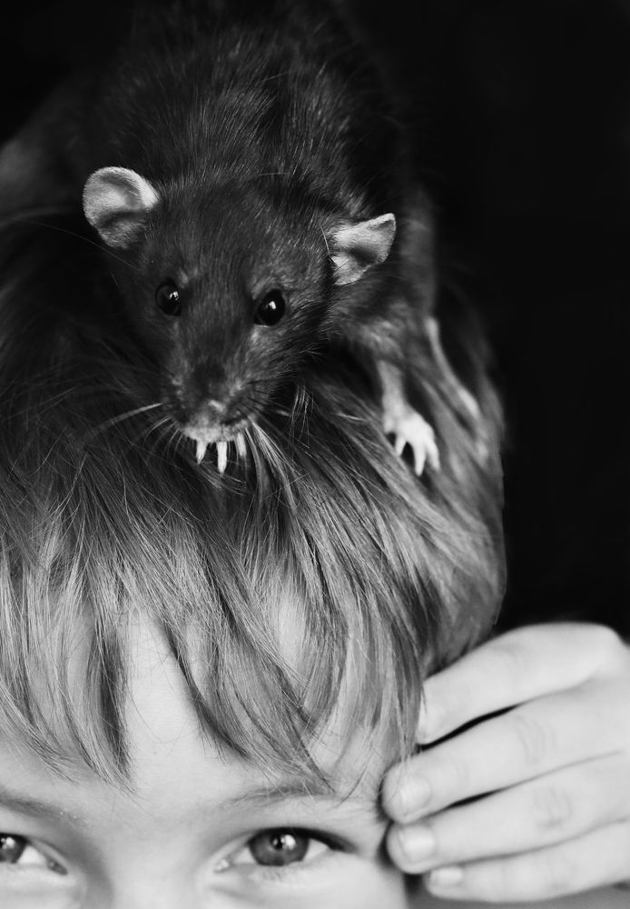 Photograph by Инесса Юровских