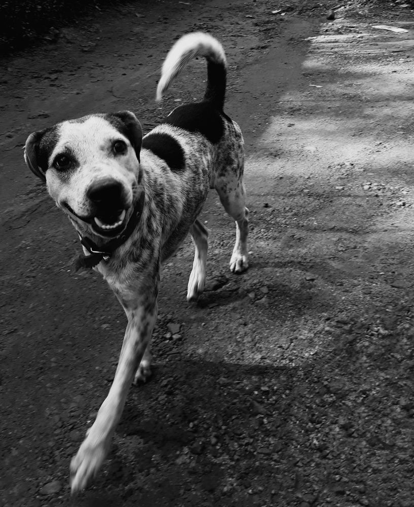 Photograph by VIJITH V RAVEENDRAN