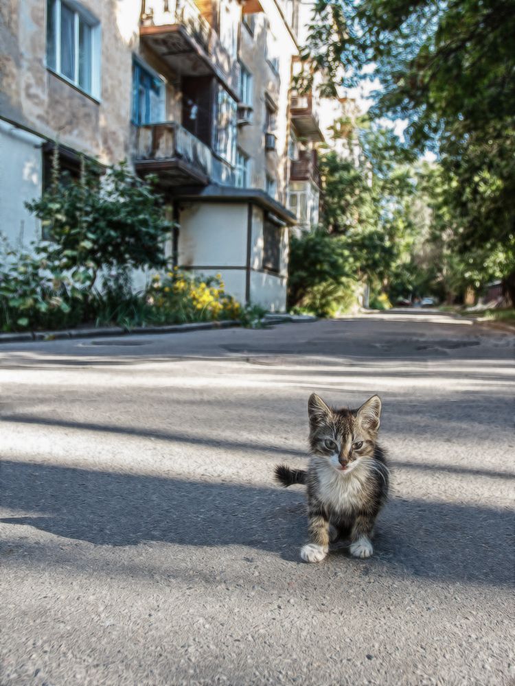 Photograph by Александр Стрельченко