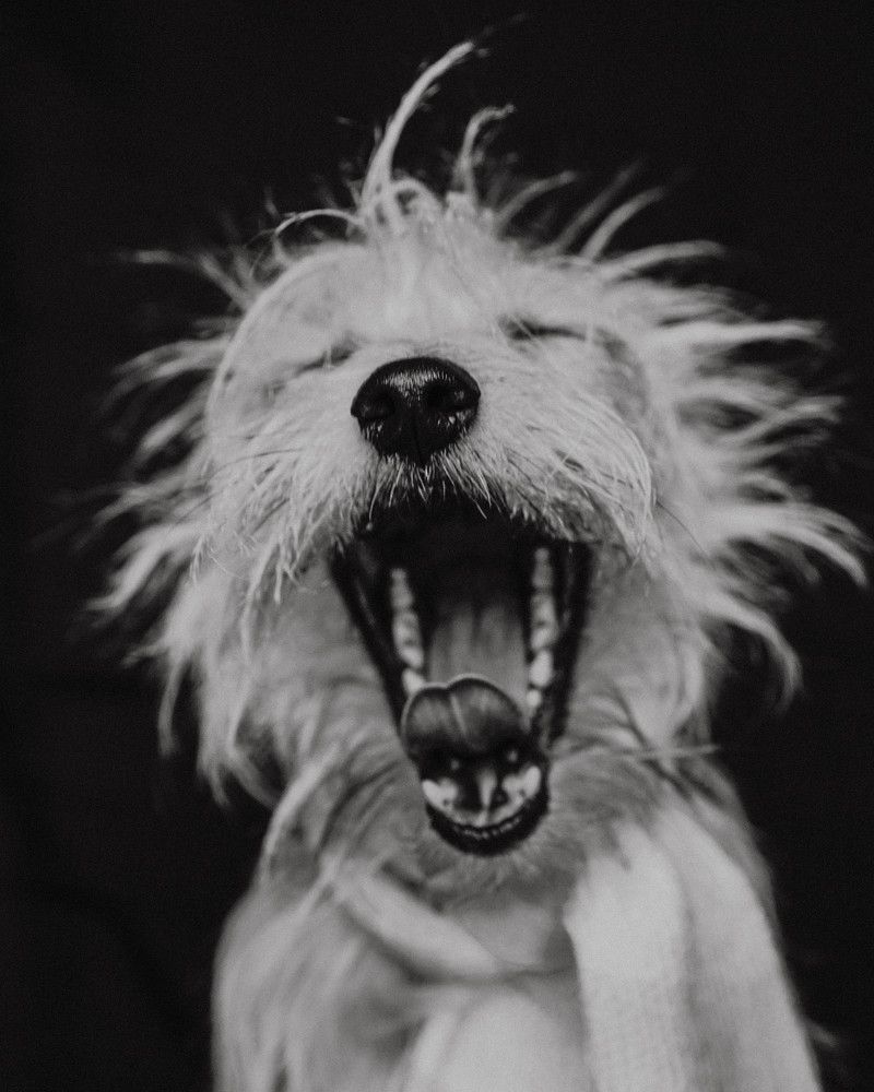 Photograph by Ирина Сидорова