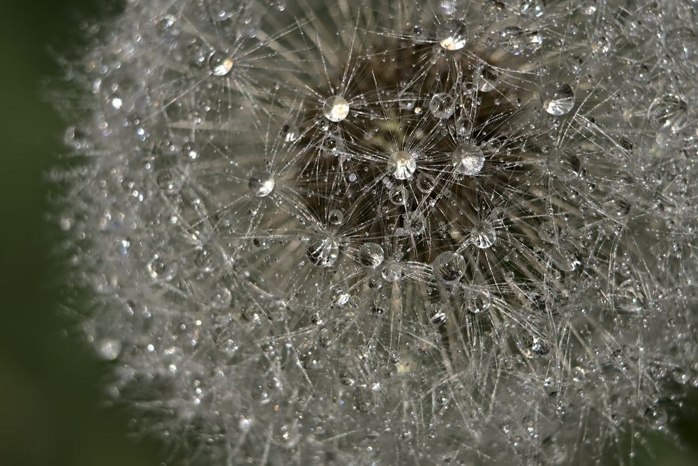 Photograph by Олег Каракин