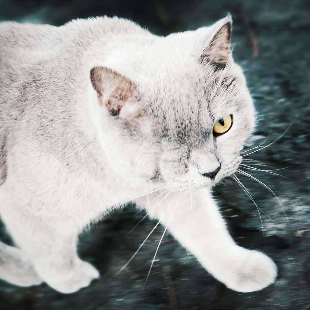 Photograph by Николай Ковальчук