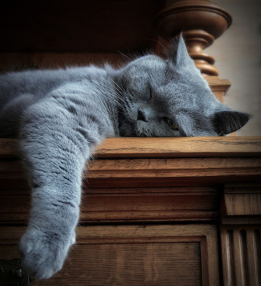 Photograph by Сергей Алексеев