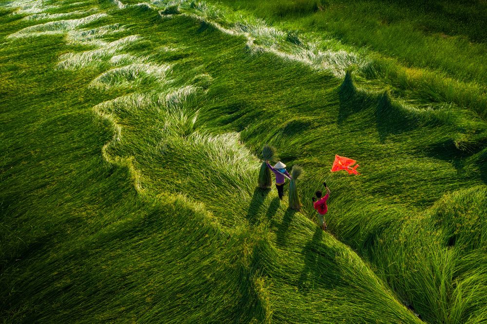 Фотография автора quach nam