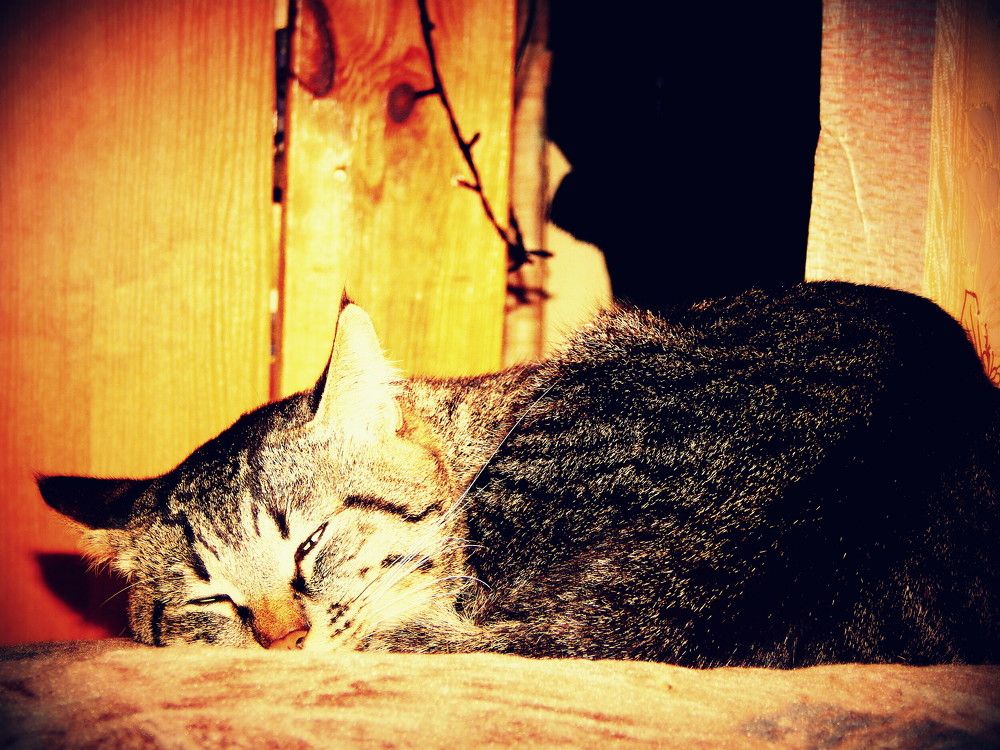 Photograph by Сашко Губаревич