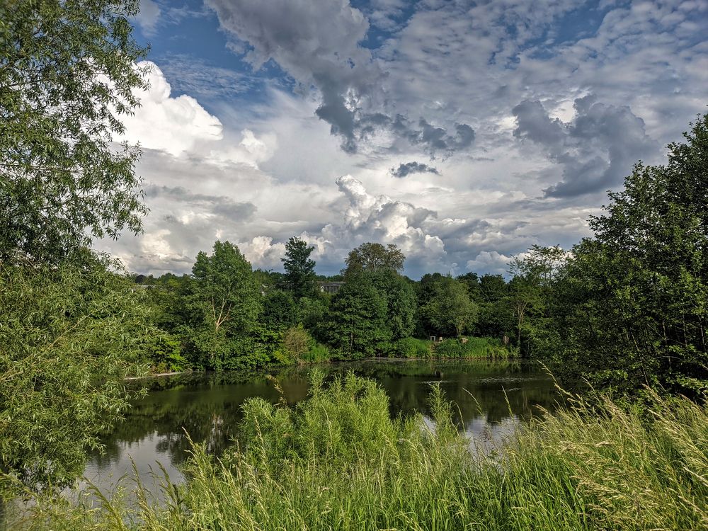 Photograph by Игорь Гомельский