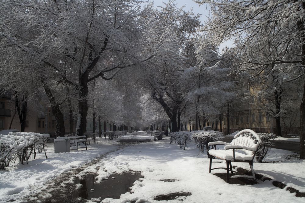 Photograph by коллега