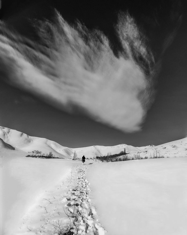 Фотография автора Alipour mohammad